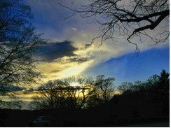 sunset over forest